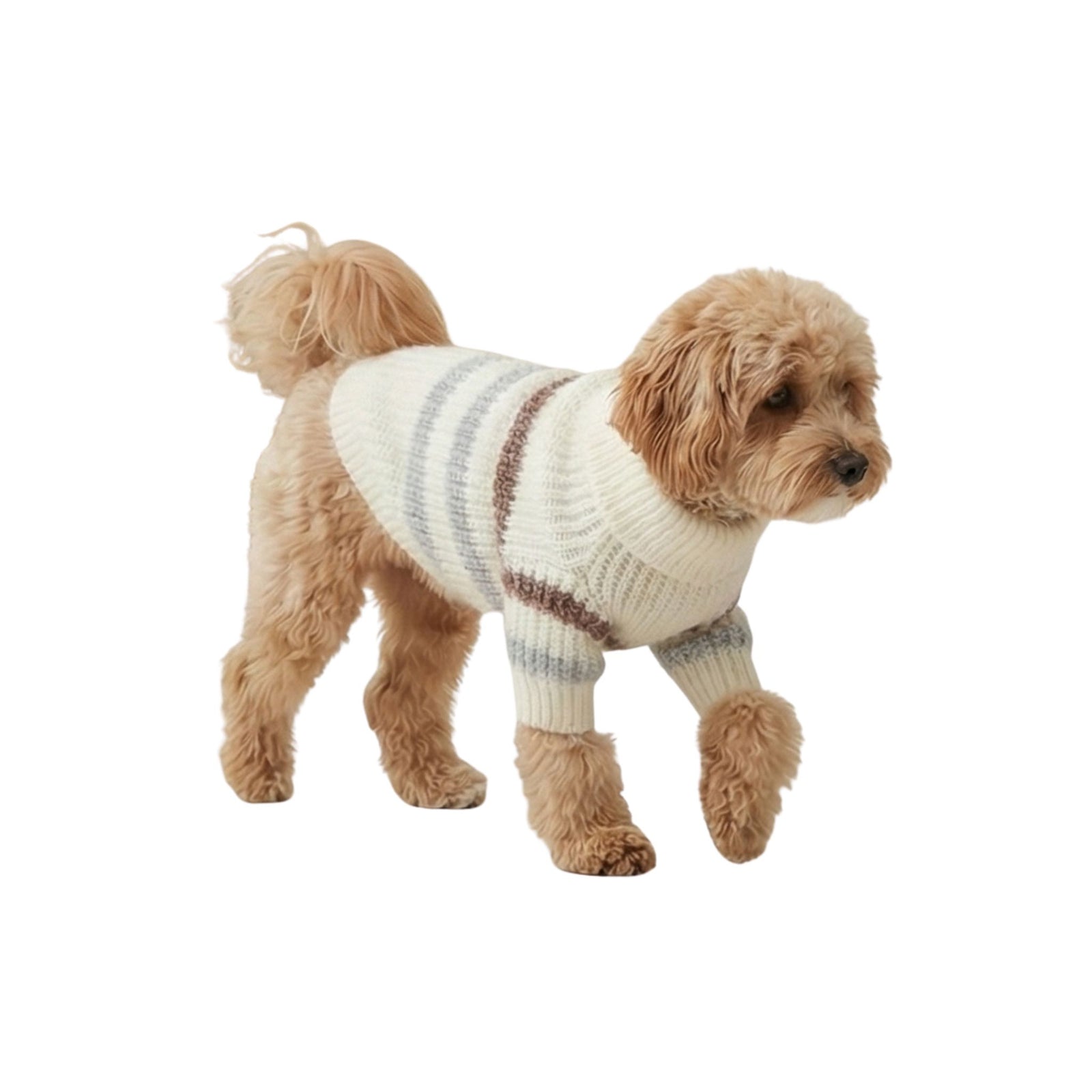 Wev Wev™ Striped Turtleneck Sweater - for yours